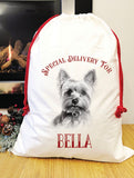Special delivery Yorkshire terrier Santa sack