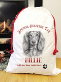 Special delivery long haired daschund Santa sack