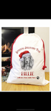 Special delivery long haired daschund Santa sack